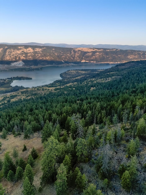 Vue aérienne d'arbres verts au sommet d'une montagne avec lac et ciel bleu