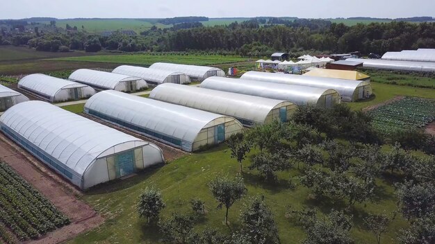 Photo vue aérienne au-dessus des travailleurs agricoles de la campagne se préparant à cultiver des légumes, des fruits et des herbes