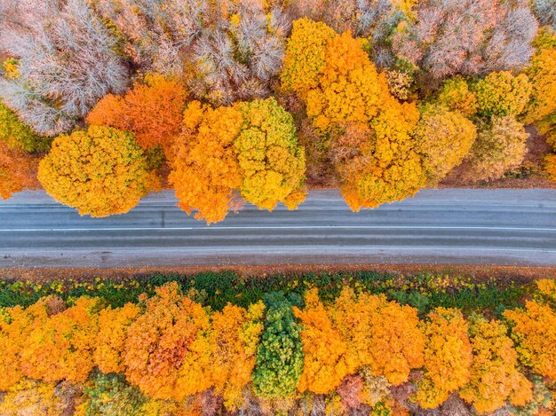 Vue aérienne de l'autoroute d'automne en forêt