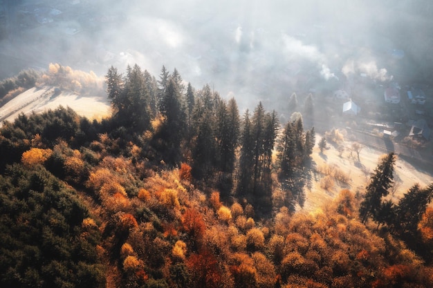 Vue aérienne de beaux pins sur la colline de montagne dans le brouillard au lever du soleil en automne en Ukraine Paysage coloré avec des bois dans la brume orange gress Forêt à l'aube en automne Nature Vue de dessus depuis un drone