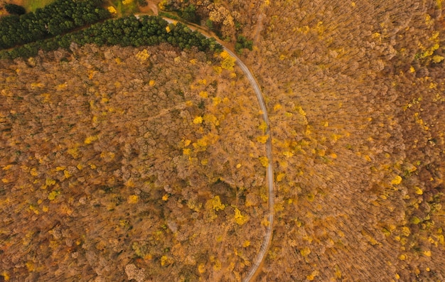 Vue aérienne de la belle forêt d'automne avec route