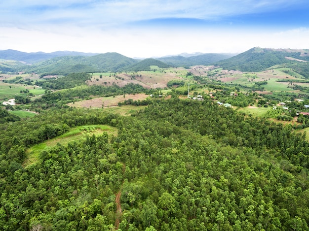 Vue aérienne de la belle forêt tropicale, tiré de drone