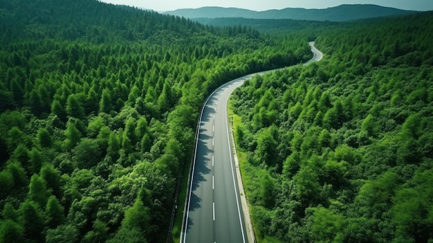 Vue aérienne d'une belle route courbe sur une forêt verte pendant la saison des pluies