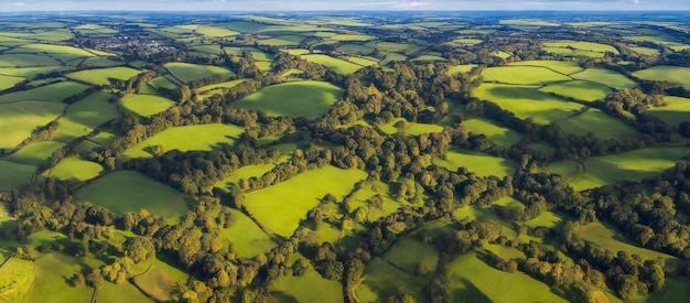 Vue aérienne d'une campagne anglaise, de champs d'herbe et d'arbres luxuriants, rendu 3d