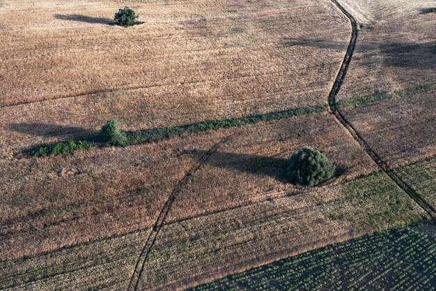 Vue aérienne de la campagne avec une route traversant un champ et des oliviers rares Halkidiki Grèce