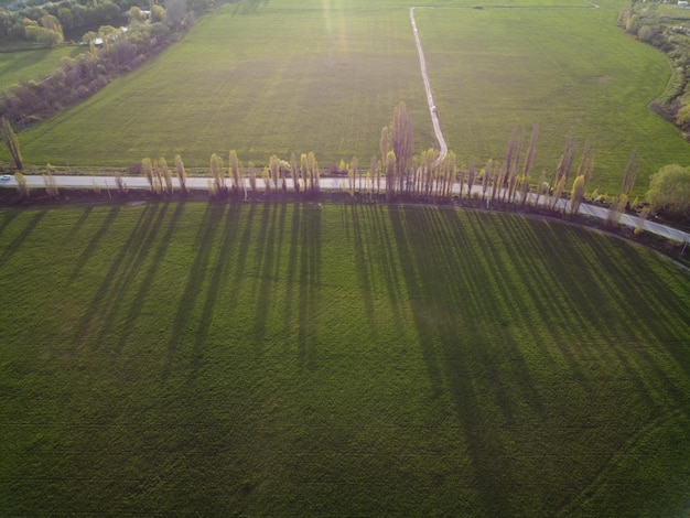 Vue aérienne sur le champ de blé vert dans la campagne champ de blé soufflant dans le vent sur les jeunes coucher de soleil