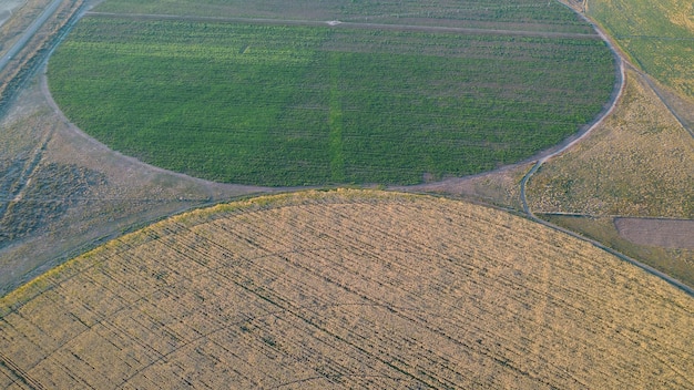 Vue aérienne d'un champ circulaire en Argentine photo de drone