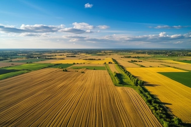 une vue aérienne d'un champ de cultures