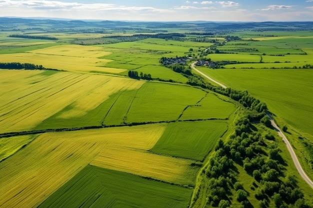 une vue aérienne d'un champ de cultures