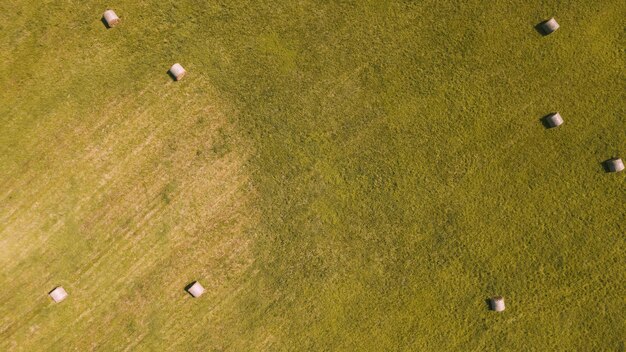 Photo vue aérienne sur le champ d'herbe verte avec des rouleaux de foin pendant une journée ensoleillée temps de récolte dans la campagne