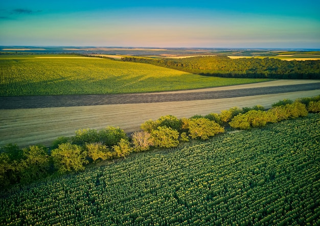 Vue aérienne sur les champs agricoles au coucher du soleil