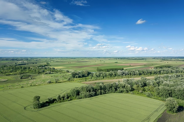 Vue aérienne des champs agricoles. Campagne, paysage agricole Vue aérienne.