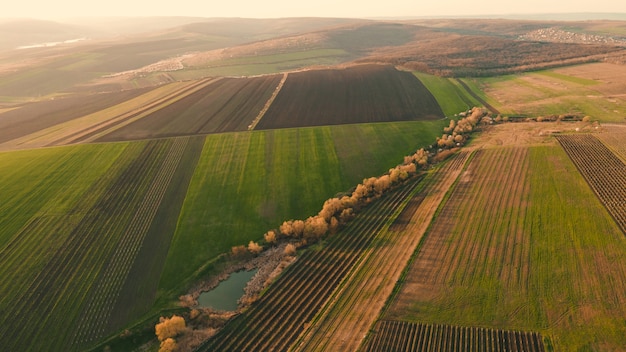 vue aérienne des champs de blé