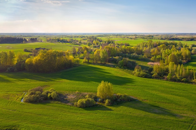 Vue aérienne de champs de printemps verts (Biélorussie)