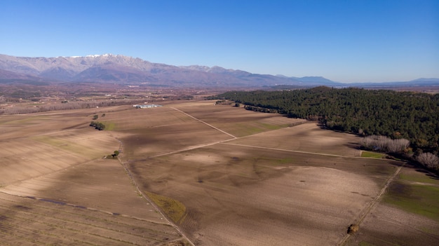 Vue aérienne des champs de récolte