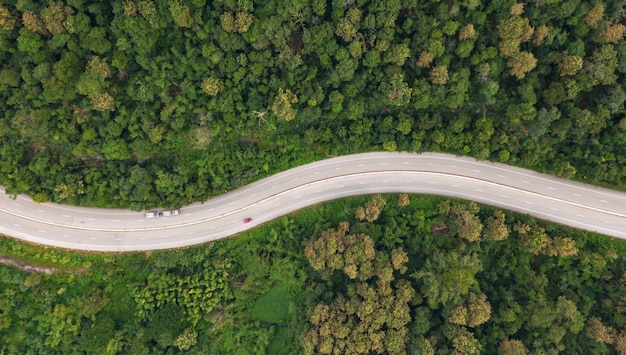 Vue aérienne de chemin de la route en forêt, vue depuis un drone