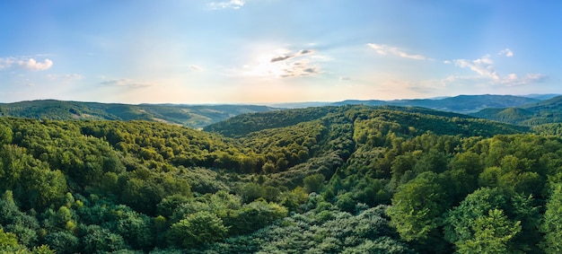 Vue aérienne des collines de montagne couvertes de bois luxuriants et verts denses par une belle journée d'été