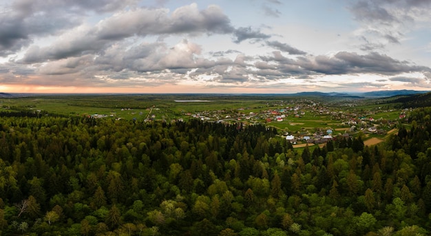 Vue aérienne des collines de montagne sombres couvertes de pins verts mixtes et de forêts luxuriantes en soirée