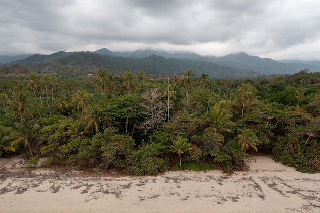 Vue aérienne des collines naturelles et de la plage de Los Naranjos à Santa Marta par le parc national de Tayrona en Colombie