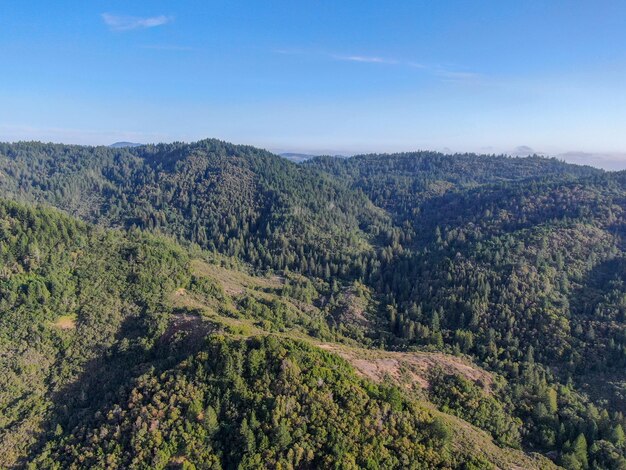 Vue aérienne des collines verdoyantes avec des arbres dans la Napa Valley California USA