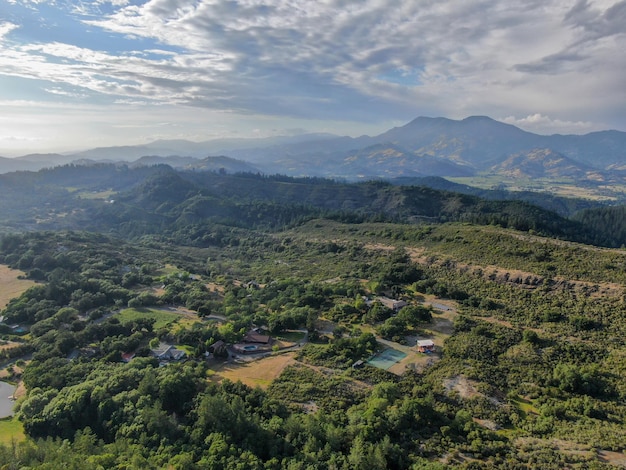 Vue aérienne des collines verdoyantes avec des arbres dans la Napa Valley California USA