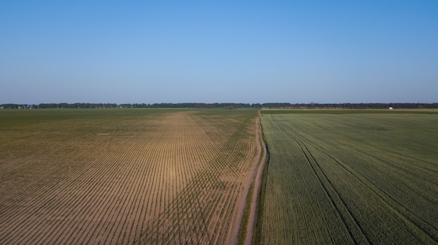 Vue aérienne des cultures cultivées