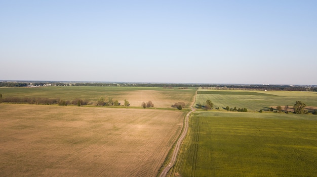 Vue aérienne des cultures cultivées