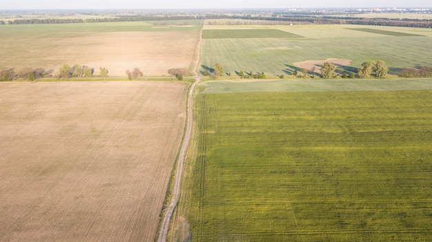 Vue aérienne des cultures cultivées