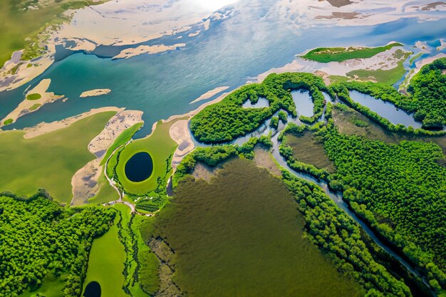 Vue aérienne d'un delta fluvial avec une végétation luxuriante et des canaux sinueux