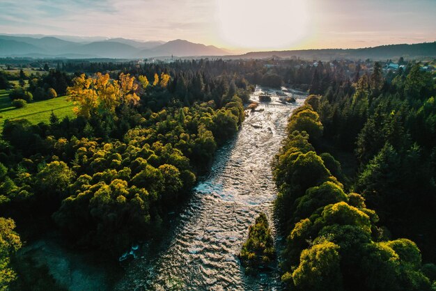 Vue aérienne de dessus des arbres verts d'automne dans la forêt en Slovaquie Photographie par drone Écosystème de la forêt tropicale et concept d'environnement sain Rivière de montagne xDxA