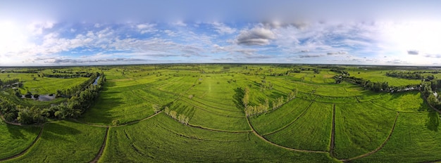 Photo vue aérienne de dessus de champ de riz vert panoramique