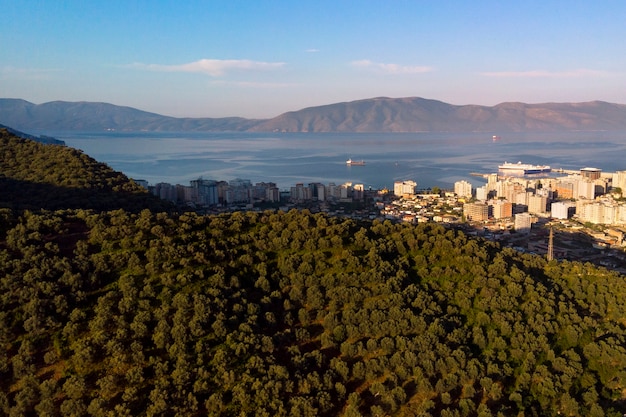 Vue aérienne de dessus des champs d'oliviers dans la montagne et la côte de la mer dans la ville d'Albanie.