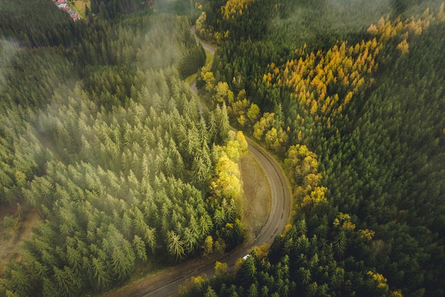 Vue aérienne de dessus de la forêt brumeuse avec route dans les montagnes Photographie de drone Écosystème de la forêt tropicale et concept d'environnement sain