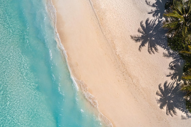 Vue aérienne de dessus sur la plage de sable. Plage tropicale avec mer turquoise de sable blanc, soleil de palmiers