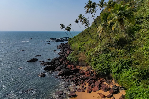 Vue aérienne de dessus sur la plage tropicale avec des palmiers verts sous la lumière du soleil Vue de drone à Goa