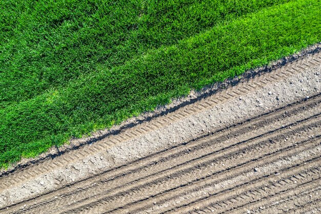 Vue aérienne de dessus Rangées de terre avant et après la plantation