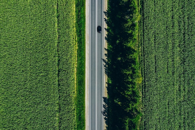 Vue aérienne de dessus d'une route goudronnée rurale à travers un champ de maïs vert en été