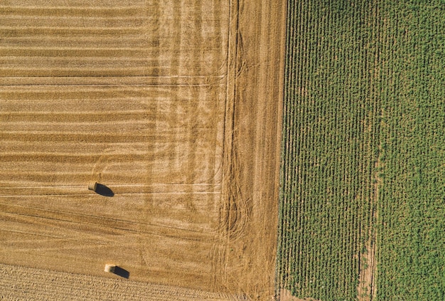 Vue aérienne directement au-dessus de balles de foin sur un champ agricole