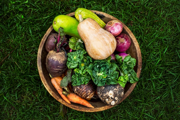 Vue aérienne de divers légumes biologiques frais dans un bol en bois