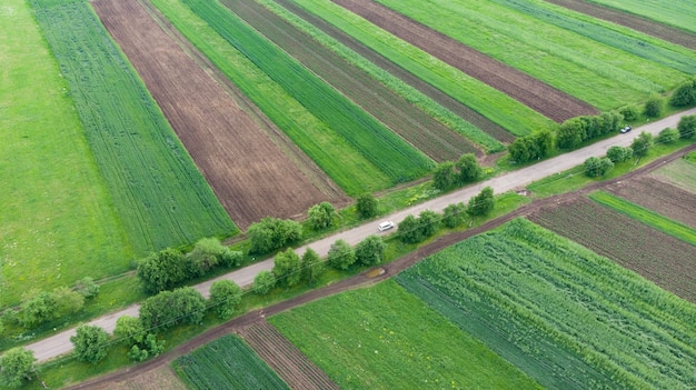 Vue aérienne avec drone de champs colorés et route