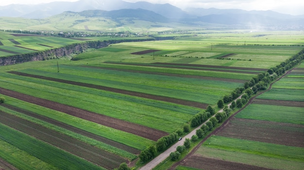 Vue aérienne avec drone de champs colorés et route