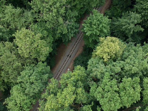 Vue aérienne avec un drone d'un chemin de fer de train dans la forêt verte