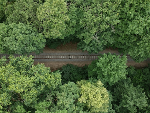 Vue aérienne avec un drone d'un chemin de fer de train dans la forêt verte