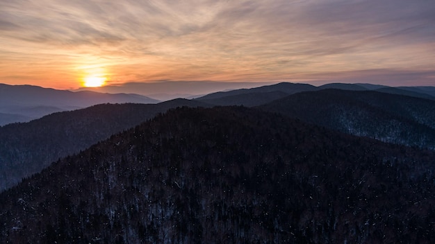 Vue aérienne de drone dans la forêt de montagne Paysage d'hiver Sapins et pins enneigés Branche d'arbre enneigée dans une vue de la forêt d'hiver Paysage d'hiver arbres forestiers recouverts de neige givrée