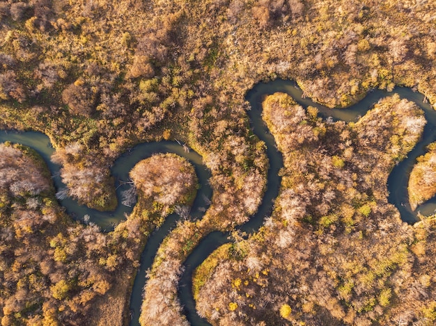 Vue aérienne de drone du paysage d'automne avec rivière