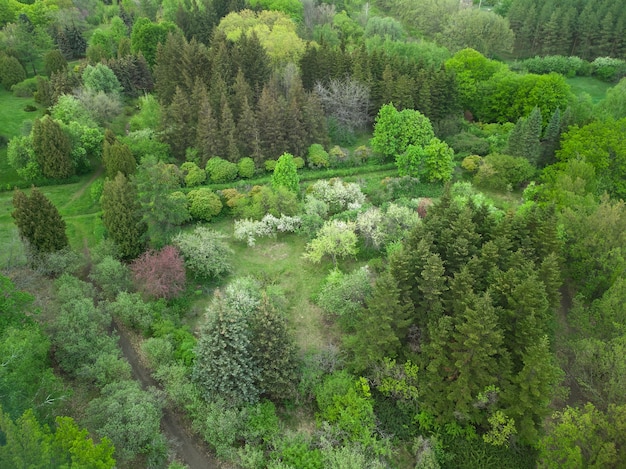 Vue aérienne de drone d'un jardin avec des allées d'arbres différents et de l'herbe verte.