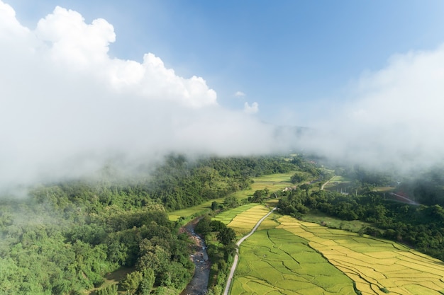 Vue aérienne d'un drone sur des vagues de brouillard qui coulent sur la forêt tropicale de montagne, image de vue à vol d'oiseau sur les nuages Arrière-plan de la nature incroyable avec des nuages et des sommets de montagne à Nan en Thaïlande.