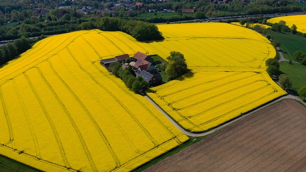 Photo vue aérienne de drones de champs de colza jaune dans la campagne allemande