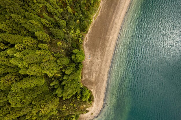 Vue aérienne du bord de mer sablonneux près de la forêt