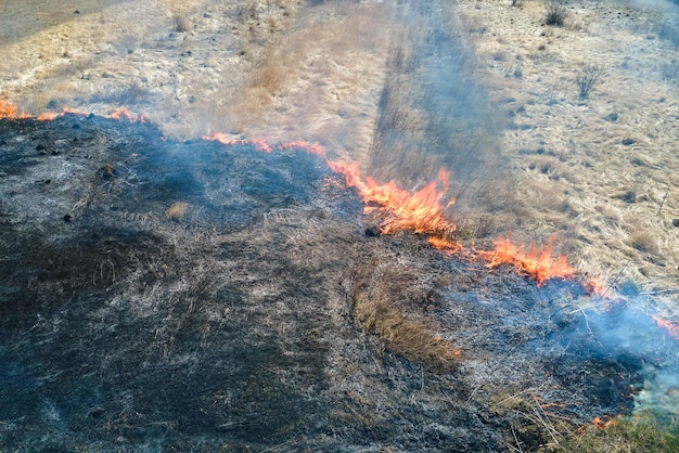 Vue aérienne du champ de prairie brûlant de feu rouge pendant la saison sèche. Concept de catastrophe naturelle et de changement climatique.